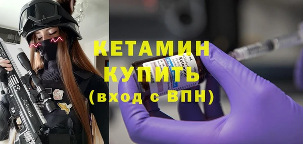 крисы Инта