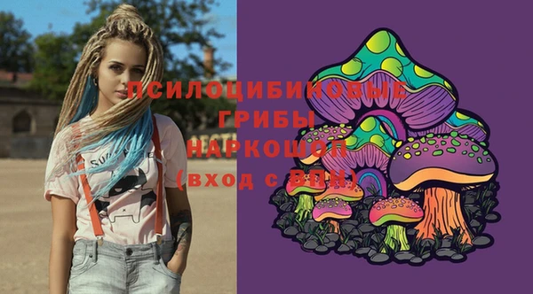 соль ск Зеленокумск