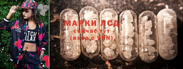 соль ск Зеленокумск