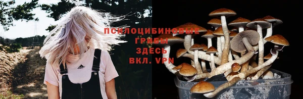 амф Зерноград