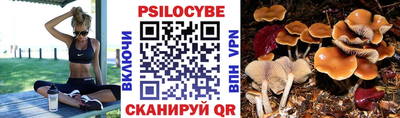 Галлюциногенные грибы GOLDEN TEACHER  Кущёвская 