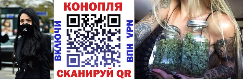 Канабис AK-47  мега вход  Кущёвская  купить закладку 